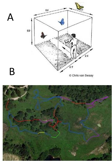 Top panel shows picture of a person walking a pollard transect and bottom panel shows a map of a transect