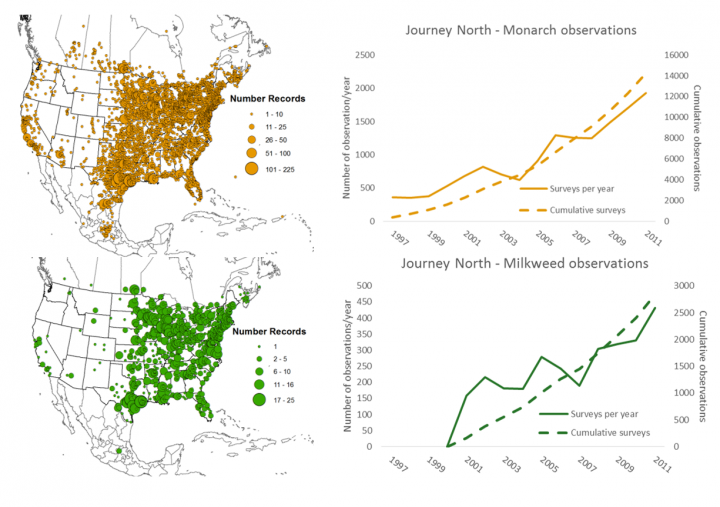 monarch butterfly migration journey north